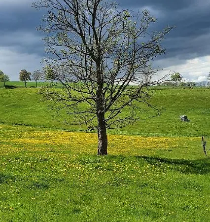 Zum Elleblick