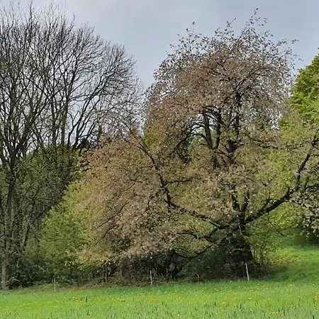 Zum Elleblick Apartmán