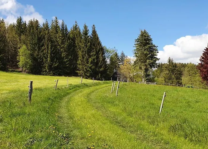 Zum Elleblick Apartament Frauenstein (Saxony)