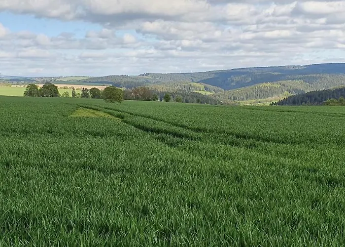Zum Elleblick Apartament